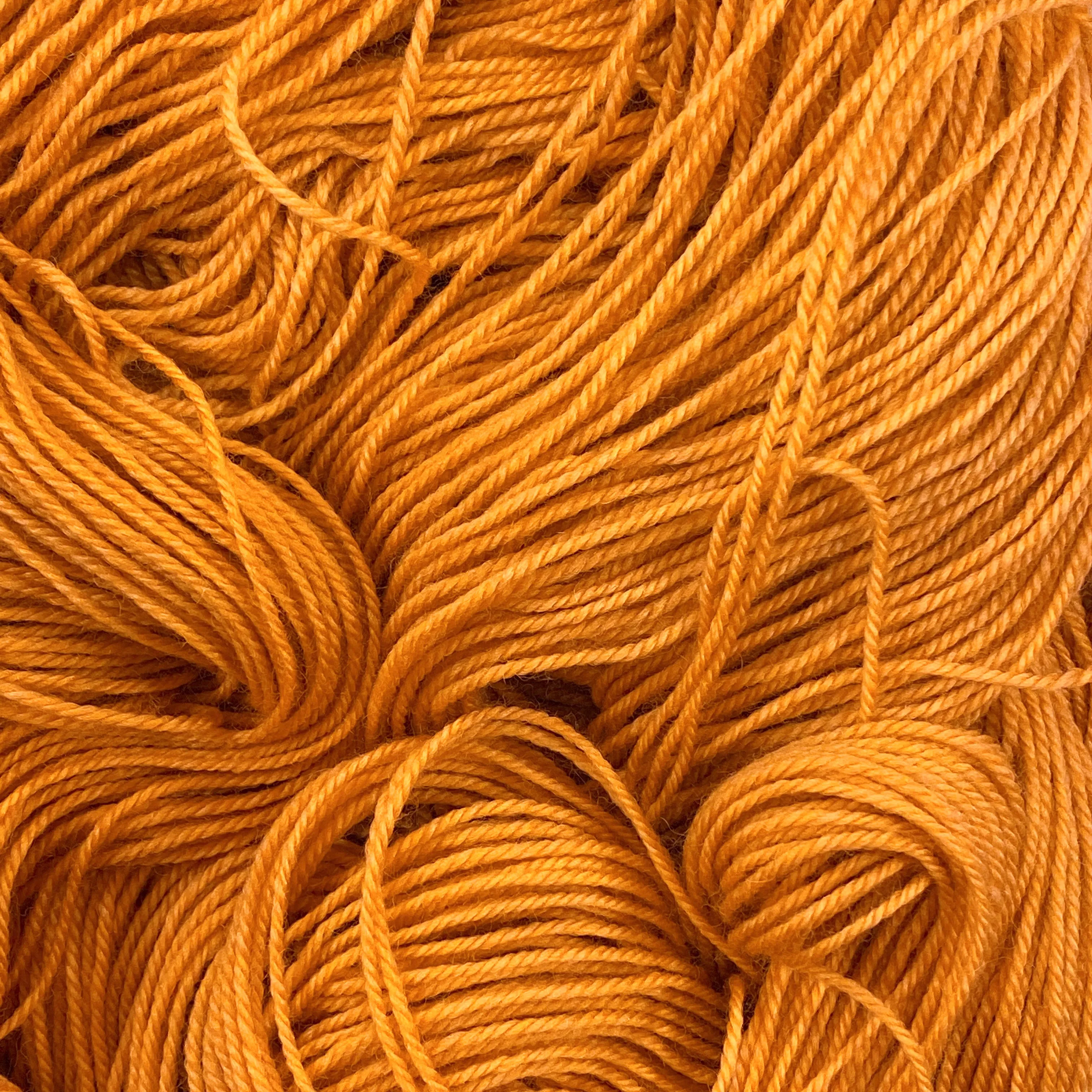 Barbury Sock - Taste Of Turmeric