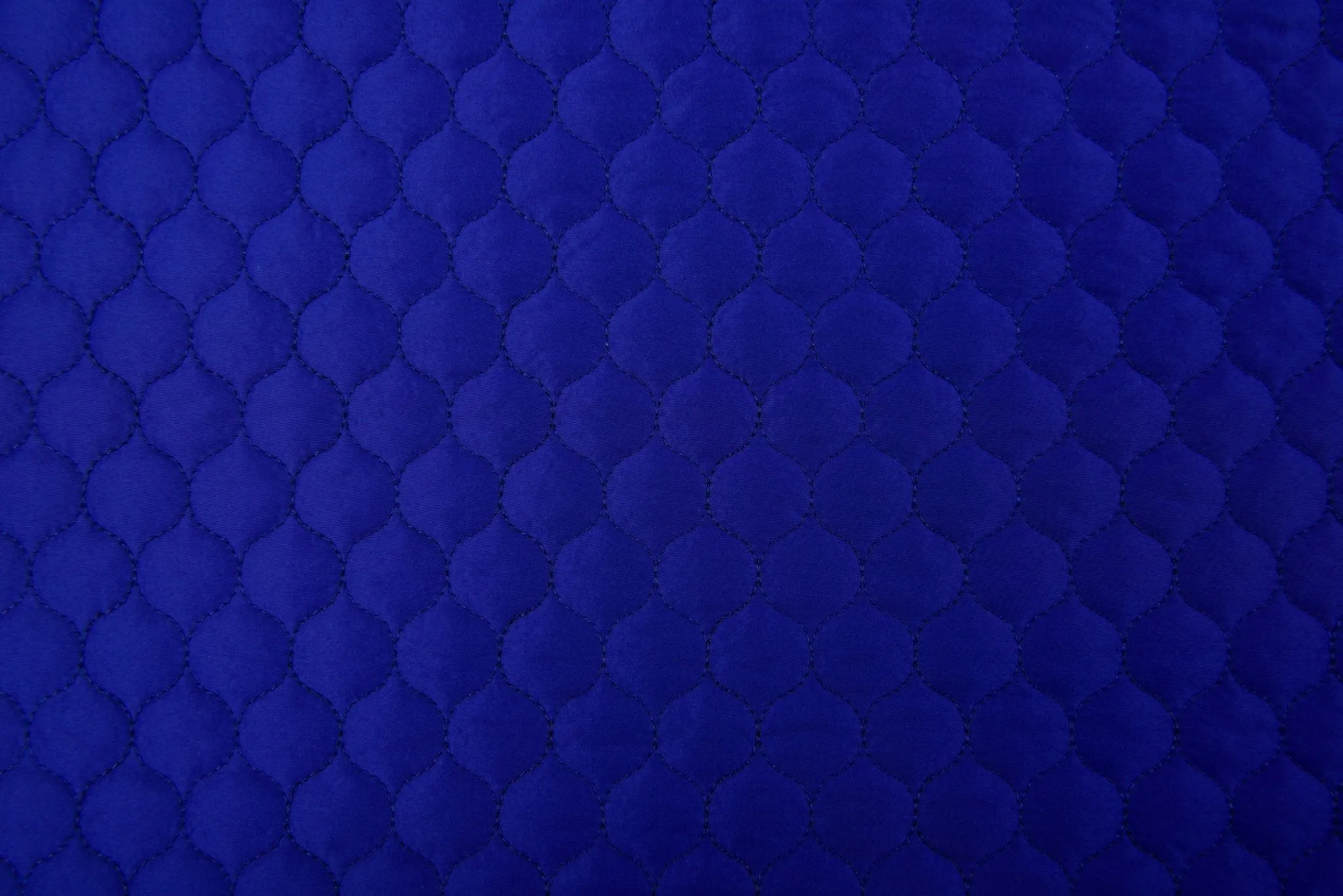 Double Sided Quilted Fabric With Polyester Filling ( Vest, Jackets )